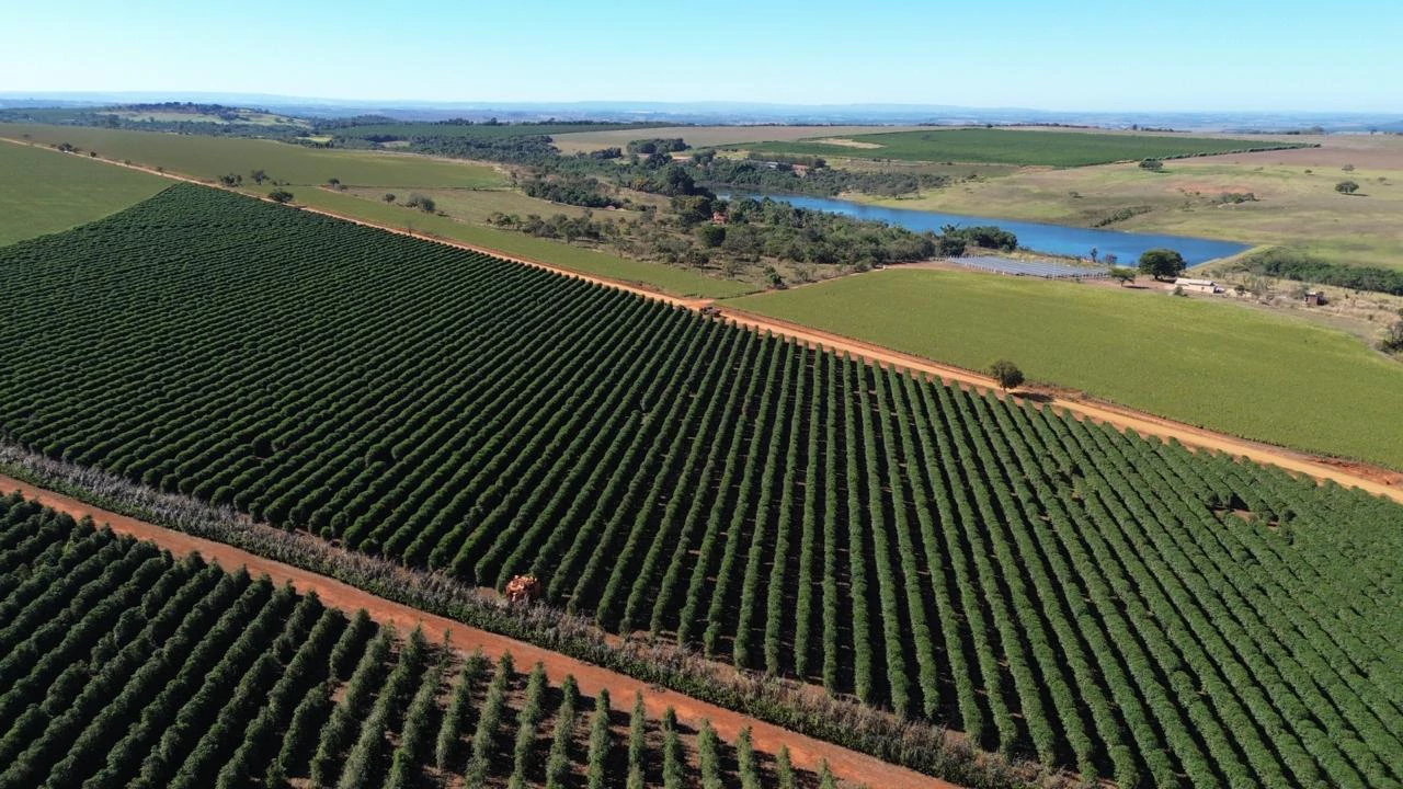 Vista aérea das lavouras de café da Oro Nero no Cerrado Mineiro